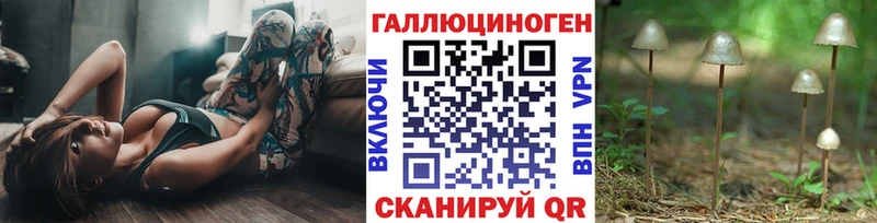 Галлюциногенные грибы мицелий  купить наркотики цена  Истра 